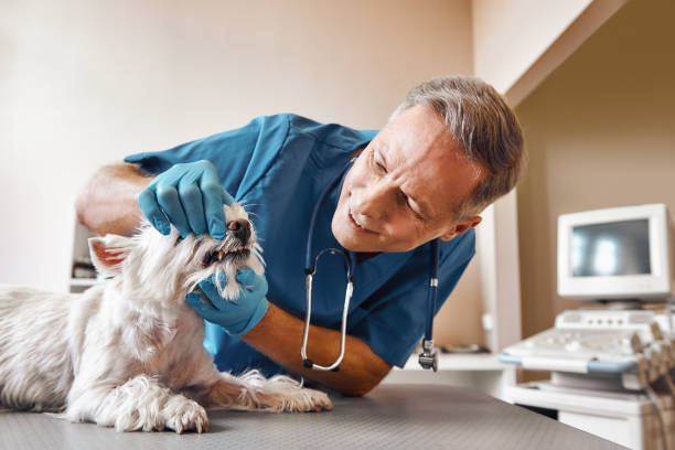 Best 24-Hour Emergency Dental Care in Washington Court House, OH