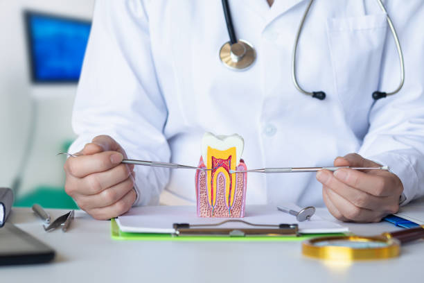 Best Walk-In Emergency Dental Services in Washington Court House, OH